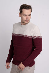 Bisiklet Yaka İki Renkli Erkek Triko Kazak