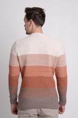 Bisiklet Yaka Renk Bloklu Erkek Triko Kazak