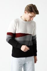 Bisiklet Yaka Manzara Desenli Erkek Triko Kazak