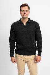 Polo Yaka Erkek Triko Kazak