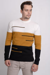 Bisiklet Yaka Üç Renkli Erkek Triko Kazak