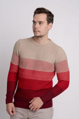 Bisiklet Yaka Renk Bloklu Erkek Triko Kazak