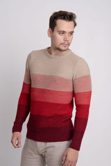 Bisiklet Yaka Renk Bloklu Erkek Triko Kazak