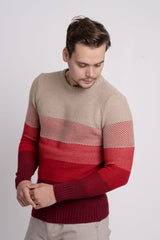 Bisiklet Yaka Renk Bloklu Erkek Triko Kazak