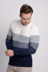 Bisiklet Yaka Renk Bloklu Erkek Triko Kazak