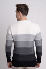 Bisiklet Yaka Renk Bloklu Erkek Triko Kazak