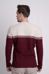 Bisiklet Yaka İki Renkli Erkek Triko Kazak