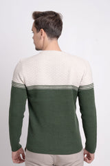 Bisiklet Yaka İki Renkli Erkek Triko Kazak