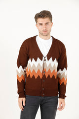 Zikzak Desenli Renk Bloklu Erkek Triko Hırka