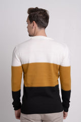 Bisiklet Yaka Üç Renkli Erkek Triko Kazak